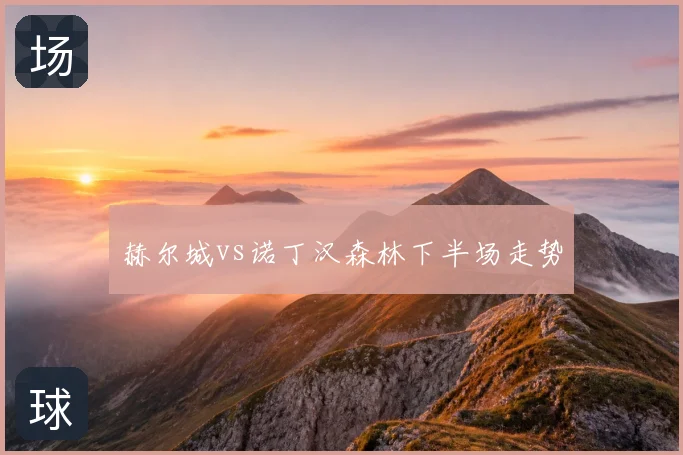 赫尔城vs诺丁汉森林下半场走势
